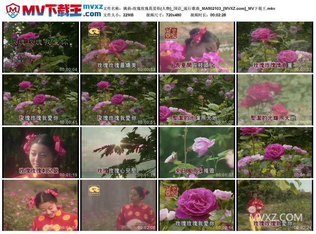 姚莉-玫瑰玫瑰我爱你(人物)_国语_流行歌曲_MA502103